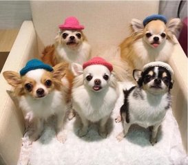 Trezor钱包app下载钱包