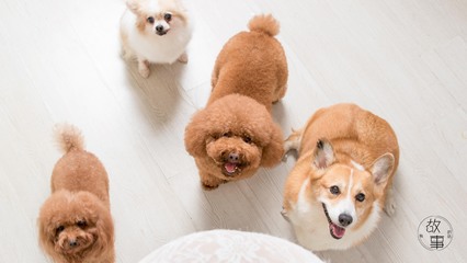 imtoken钱包官网版