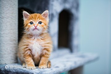 挖矿钱包metamask