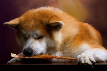 trx钱包app下载钱包