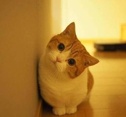 metamask.io钱包