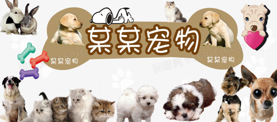 tokenpocket重置密码