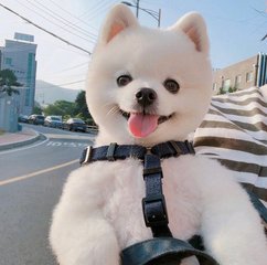 tp钱包如何创建bsc钱包地址